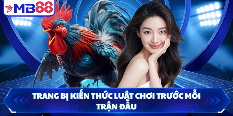 Trang bị kiến thức luật chơi trước mỗi trận đấu